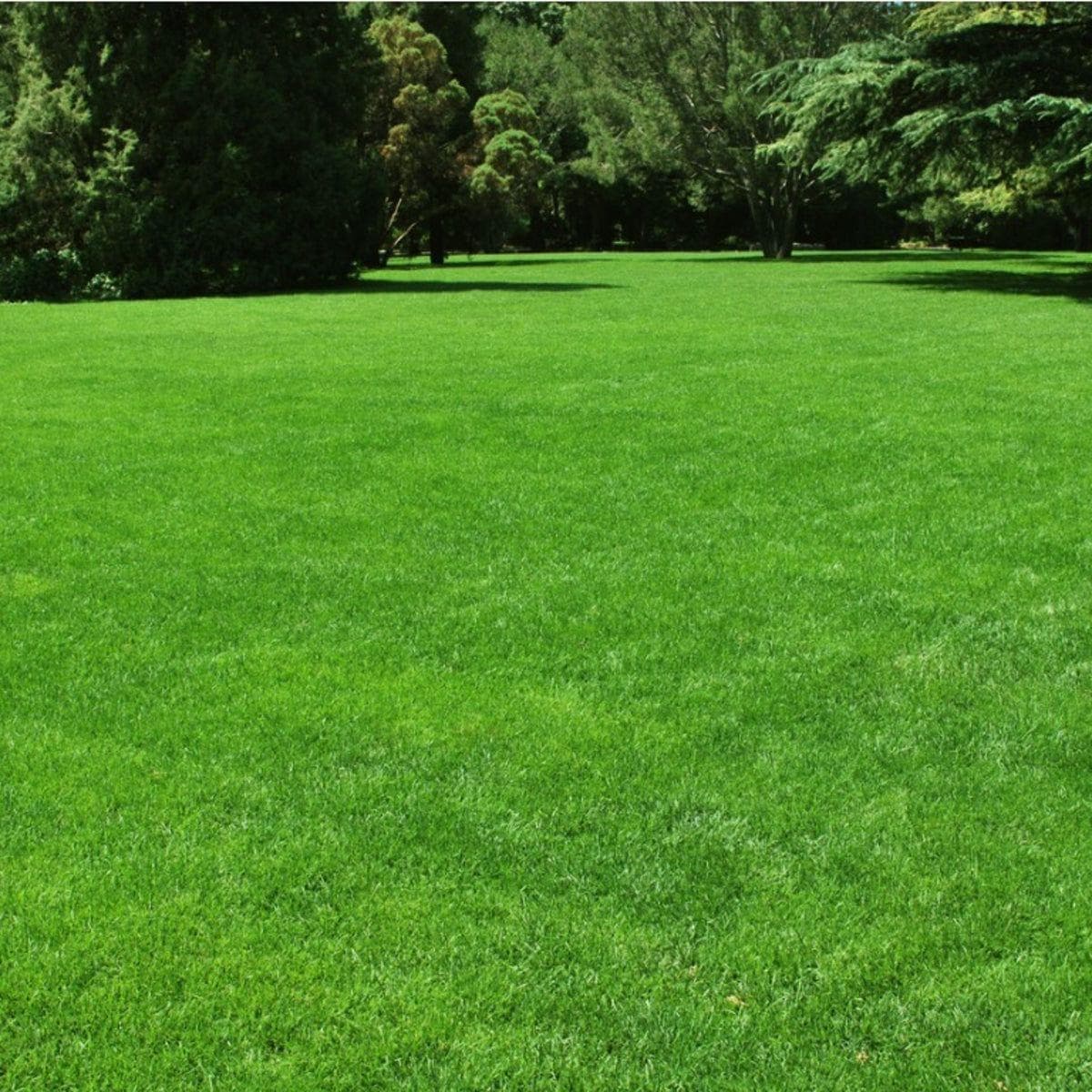 Приклад роботи GREEN GRASS 3
